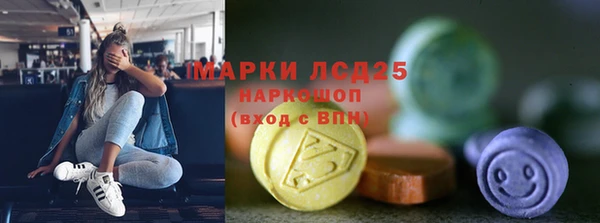 гидропоника Сатка
