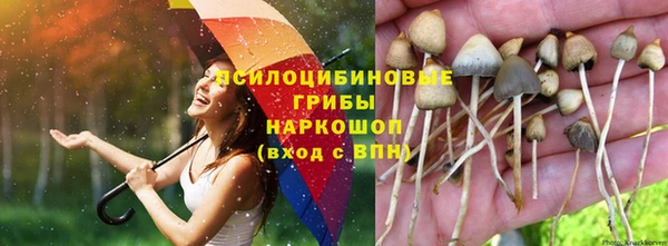 jwh Володарск