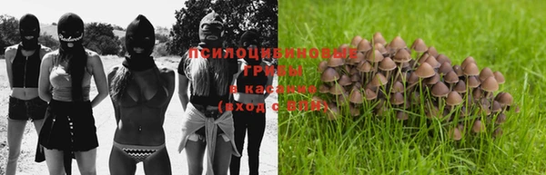 дживик Вязники